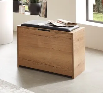 Sitztruhe Aquarell 234084