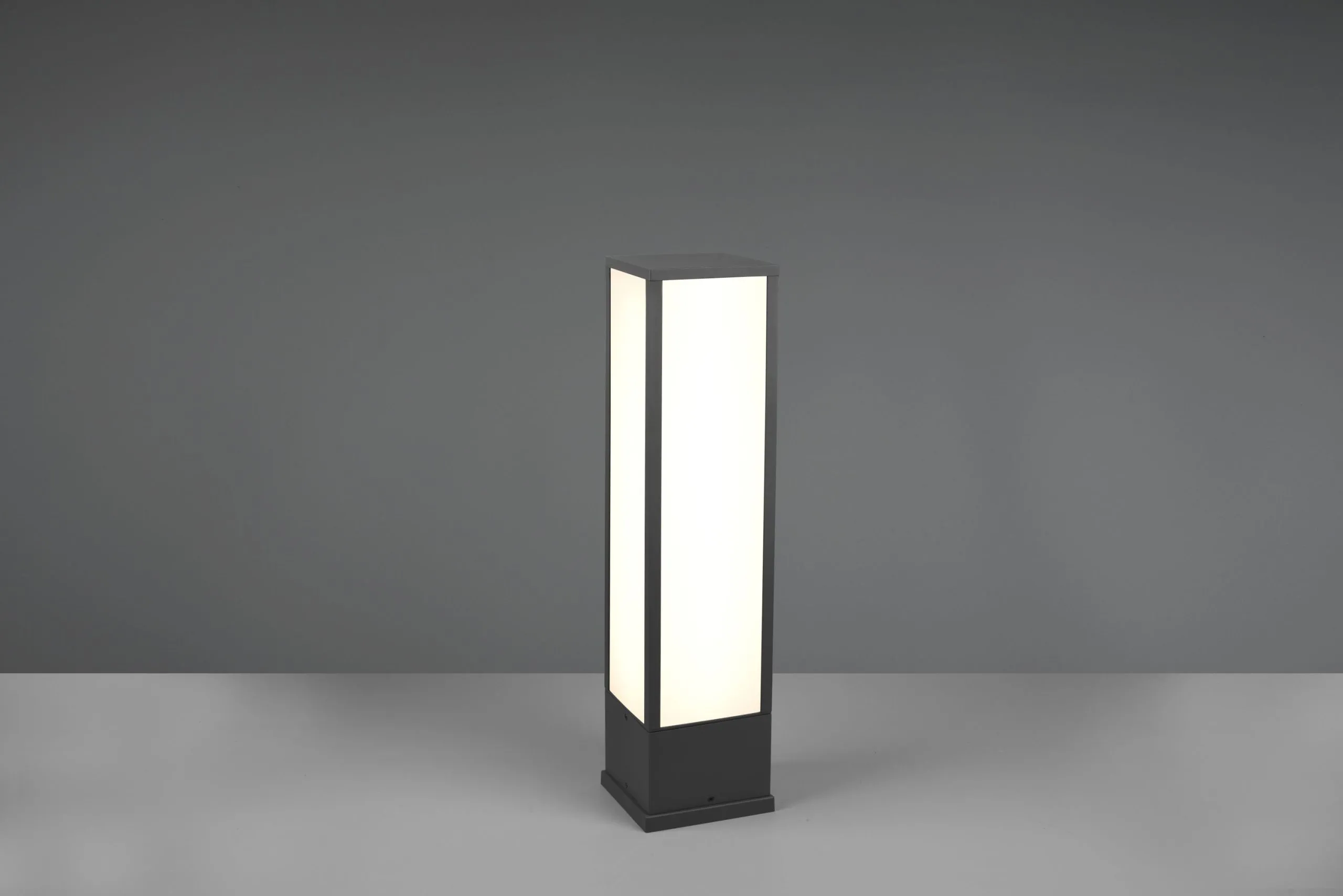 Außenleuchte FUERTE 456607