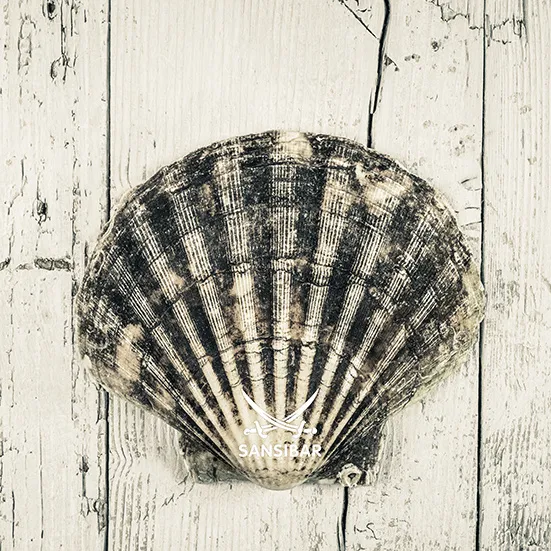 Acrylglasbild SANSIBAR Living 707927-1