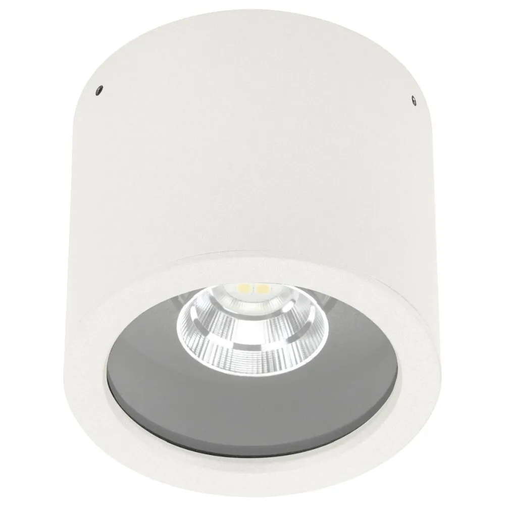 Albert 2319 Deckenaufbauleuchte LED Weiß, 1-flammig