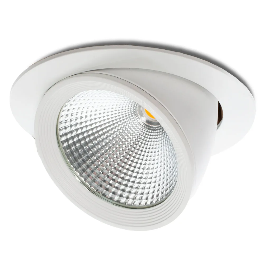 LED-Downlight-Strahler 30W 3000Lm 6000ºK verstellbar UGR17 50.000H [JW-30W-G-CW]